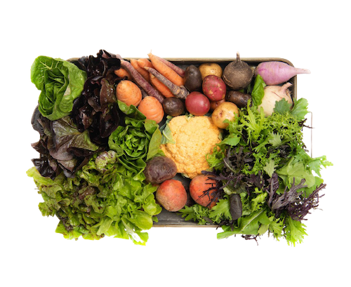 veggie box